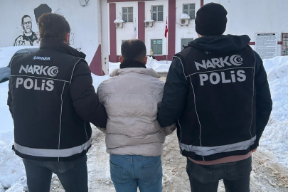 Şırnak'ta kesinleşmiş hapis cezası bulunan şahıs yakalandı
