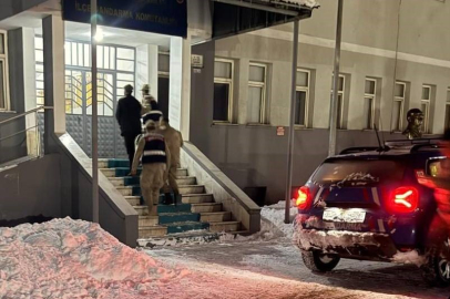 Tunceli’de yavru köpeğe eziyet eden şahıs tutuklandı