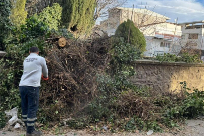 Bursa Büyükşehir, şiddetli rüzgara karşı teyakkuzda