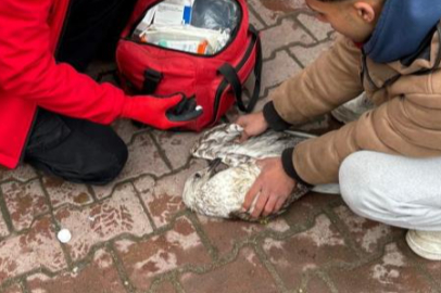 Bursa'da denizde can mücadelesi! 911 ekipleri kurtardı...