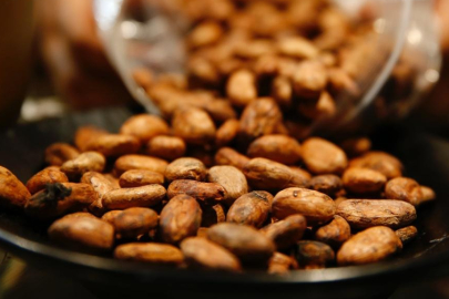 Kakao fiyatları tüm zamanların en hızlı yıllık düşüşünü gördü