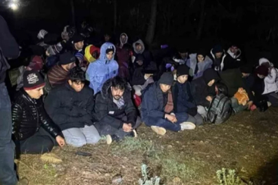 Muğla'da 24'ü çocuk 58 düzensiz göçmen yakalandı