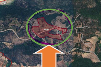 Bursa Çataltepe'deki dev tarla icradan satışa çıktı! Fiyatı dudak uçuklattı
