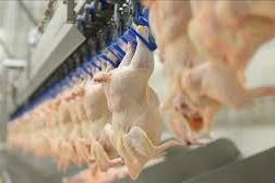 Kırmızı etin ardından beyaz ete de zam kapıda!