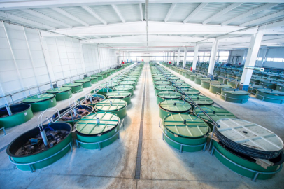 Onay çıktı: Bursa'da 70 milyon liraya fabrika kurulacak!