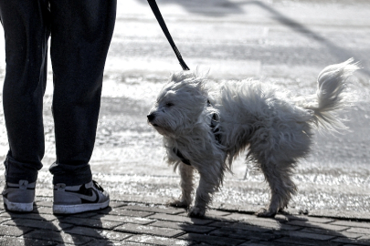 Bursa'da kuvvetli rüzgar etkili oluyor
