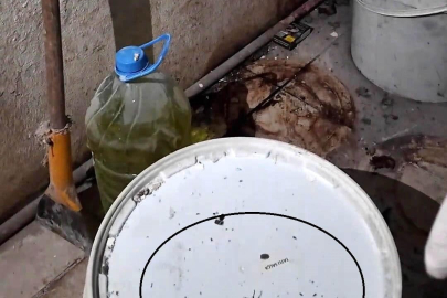 Görüntüler ekipleri bile şoke etti! 'Fareyi geçtim, yılan çıkacak'