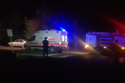 Sakarya'da orman yangınında hasar gören ağaçları taşıyan tır devrildi: 3 yaralı