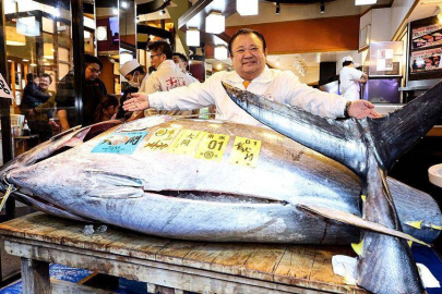 Ton balığı 3,2 milyon dolara satıldı