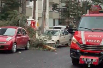 Ankara Beypazarı'nda fırtına ağaçları devirdi