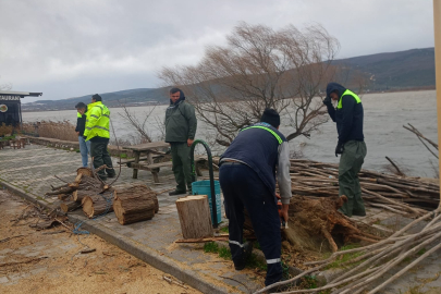Bursa Gölyazı’da fırtına ağaçları devirdi