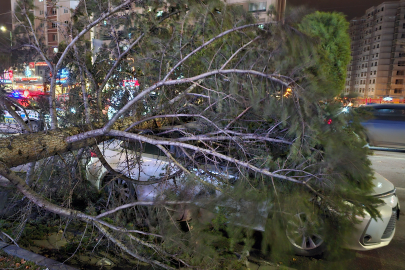 Kayseri'de kuvvetli rüzgar: Ağaç otomobilin üzerine devrildi