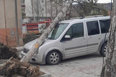 Konya Bozkır'da fırtına çatıları uçurdu, ağaçları devirdi