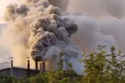 Bursa'daki hava kirliliğini bitirecek çalışmalar ertelendi!