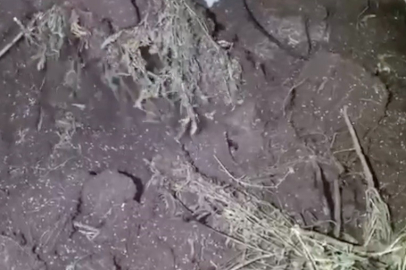 Çorum'da eski fabrika binasını uyuşturucu imalathanesine çevirmiş: 130 kilo uyuşturucu ele geçirildi