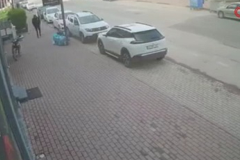 Bursa'da lodos alarmı! Son anda kurtuldu...