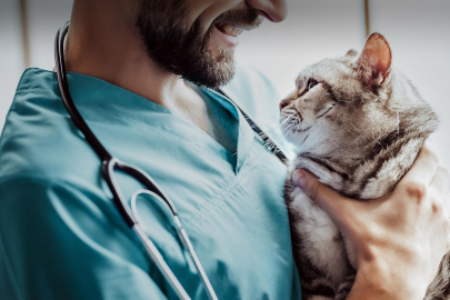 Bursa'da veteriner hekimler bu yıl zam yapmadı