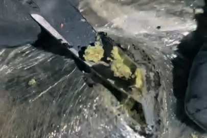 Hakkari Yüksekova’da 30 kilo Skunk ele geçirildi: 2 şüpheli gözaltında