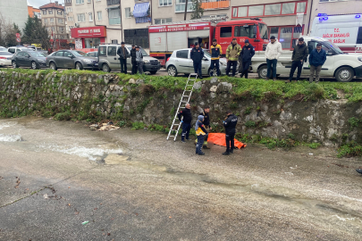 Bursa'da dereye düşen şahıs yaşamını yitirdi