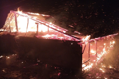 Adana'da yangın: Ev ve ahır küle döndü