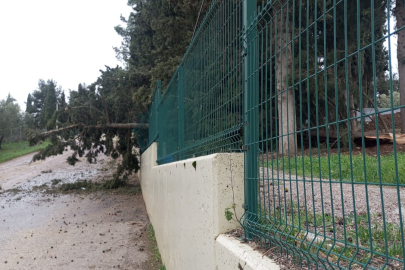 Bursa Mudanya'da lodos ve yangın paniği!