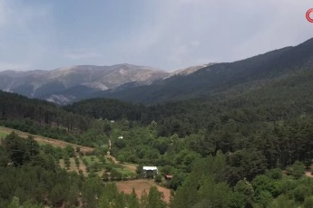 Bursa Kestel'de ahududu ve böğürtlen üretimi Sırbistan modeliyle artırılacak