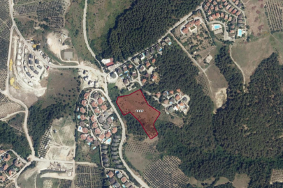 Bursa'da ormanın yanındaki dev arsa için imar kararı!