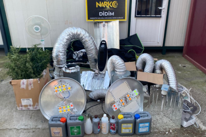Aydın Didim’de uyuşturucu operasyonu: Kenevir yetiştirme kabini ele geçirildi