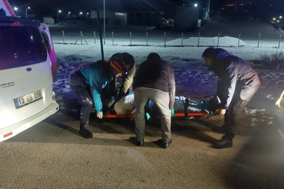 Bingöl’de otomobil domuz sürüsüne çarptı