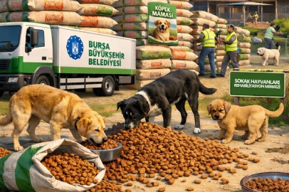 Bursa Büyükşehir Belediyesi 122 ton köpek maması alacak!