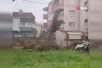 Bursa'da gezen tilki böyle görüntülendi