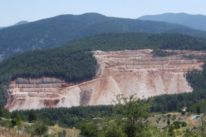 Bursa İnegöl Belediyesi ormana taş ocağı kuracak! Ağaçlar...
