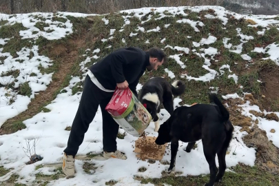 Bursa Uludağ’da sokak köpeklerine mama seferberliği