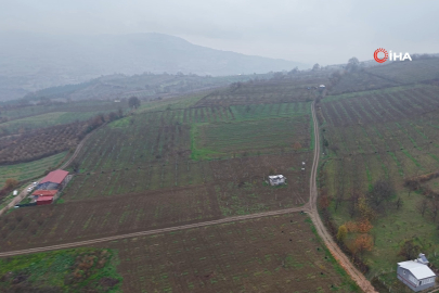 Bursa Uludağ eteklerinde fındıkta “destek” beklentisi