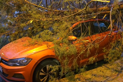 İstanbul-Kadıköy’de ağaç otomobilin üzerine devrildi