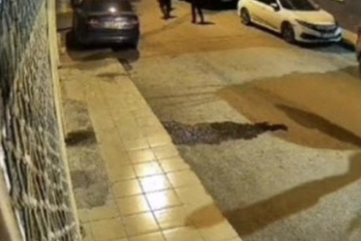 İki kadın cinayeti bir mesajla ortaya çıktı!