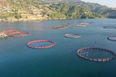 Karadeniz’in su ürünleri ihracatı 36 ülkeye ulaştı