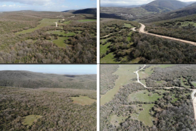 Ankaralı madenciye onay: Bursa'da ormana taş ocakları kuracak!