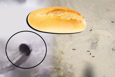 Bursa'da belediye kendi ekmek fabrikasına ceza kesti! Fare sonrası böcek skandalı...