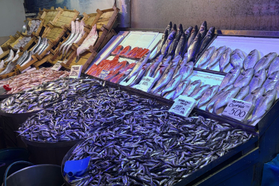 Bursa’da balıkçı esnafı sezondan memnun değil: Verim düşük ama tezgâhlar dolu