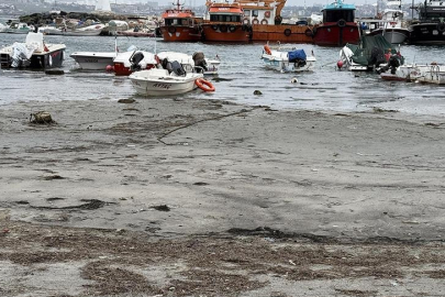 Marmara ve Ege’de tedirgin eden görüntü! 'Tehlike mi var?'
