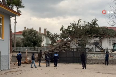 Bursa İznik'te okulların tatil olması faciayı önledi! Dev ağaç okul bahçesine devrildi