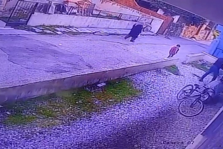 Çocukların gözü önünde köpeği katletti