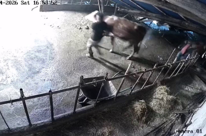 Sivas’ta ahır çöktü, o anlar güvenlik kamerasına yansıdı