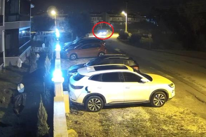 Bursa’da korkutan kaza! Ağaca çarptı: Sürücü...