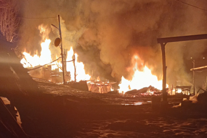 Ordu'da evini ateşe veren şahıs ağaçta asılı halde bulundu