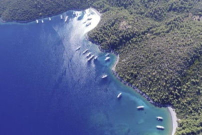 Vurguncular neler yapmış neler: Değeri 7.7 milyar! Satış fiyatı...