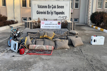 Şanlıurfa’da bağ evinde hırsızlık: 4 gözaltı