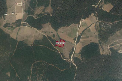 Bursa'da ormanın ortasına yapılacak beton santraline yargı "dur" dedi! İptal oldu ama...