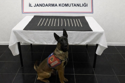 Şanlıurfa Harran'da uyuşturucu operasyonu: 2 gözaltı